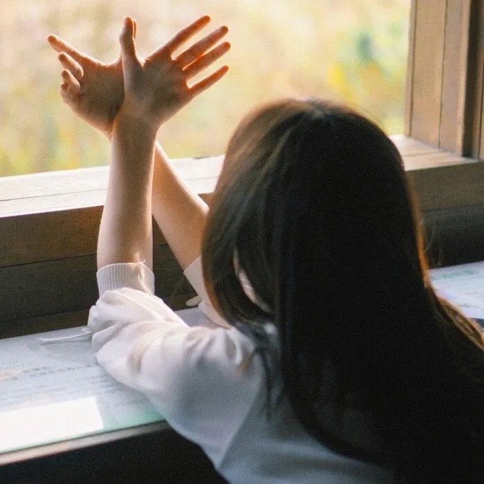 海贼王剧场版9:冬季绽放的奇迹之樱